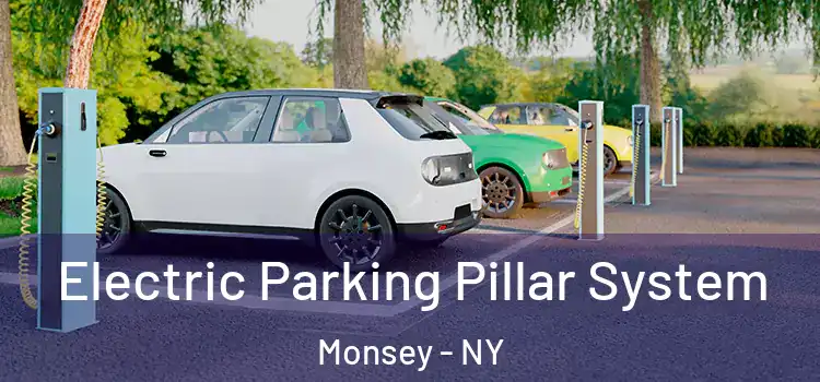 Electric Parking Pillar System Monsey - NY