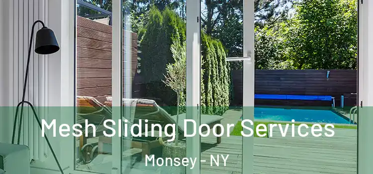 Mesh Sliding Door Services Monsey - NY